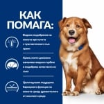 Hill's Prescription Diet Canine Derm Complete - консервирана лечебна храна за намаляване на сърбежа, облекчаване на дерматити и хранителни алергии