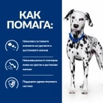 Hill's Prescription Diet Canine u/d - лечебна консервирана храна за кучета с цистеинови и пуринови уролити