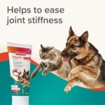 Beaphar Flexifit Paste Dog/Cat - паста за здрави стави, за кучета и котки, 250 г