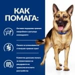 Hill's Prescription Diet Stew Canine Gastrointestinal Biome - лечебна консервирана храна за кучета, при ентеропатии реагиращи на фибри, запек или колит