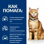 Hill's Prescription Diet Feline c/d Multicare - лечебна суха храна за котки имащи струвитни, калциево-оксалатни и калциево-фосфатни уролити