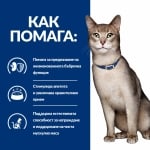 Hill's Prescription Diet Feline k/d Chicken - лечебна храна за котки, пауч, при остра и хронична бъбречна недостатъчност