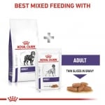 Royal Canin Canine Adult Large - пълноценна храна за израснали кучета от едри породи