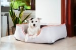 Pet Comfort Alpha водоустойчиво легло за кучета и котки, устойчивo на петна, различни цветове, М 65х80 см