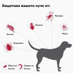 Bayer Advantix - противопаразитни пипети за кучета, цена за 1 пипета и кутия