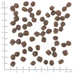 Wolfsblut Red Rock Adult - суха гранулирана храна за кучета, без зърно, с кенгуру и тиква, 12.5 кг