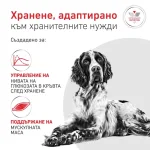 Royal Canin Diabetic/GLYCOBALANCE  - лечебна храна за кучета при диабет