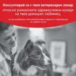 Royal Canin Diabetic/GLYCOBALANCE  - лечебна храна за кучета при диабет