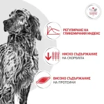 Royal Canin Diabetic/GLYCOBALANCE  - лечебна храна за кучета при диабет