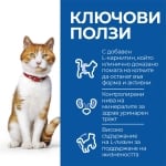 Hill's Science Plan Feline Sterilised Salmon - суха храна храна за кастрирани котки, със сьомга 