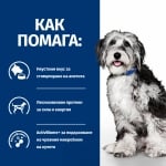 Hill's Prescription Diet Stew Canine ON-CARE - лечебна консервирана храна за кучета от всички породи с онкологични проблеми, НОВО поколение диета