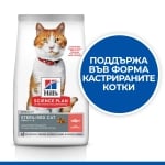 Hill's Science Plan Feline Sterilised Salmon - суха храна храна за кастрирани котки, със сьомга 