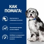 Hill's Prescription Diet Canine ON-CARE - лечебна суха храна за кучета с онкологични проблеми, при кахексия и аноресия