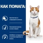 Prescription Diet Feline ON-CARE - лечебна суха храна за котки с онкологични проблеми, за стимулиране на апетита и поддържане на жизнените функции, при кахексия и аноресия, 1.5 кг