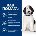 Hill's Prescription Diet Canine c/d - лечебна консервирана храна за кучета, за разтваряне на уролити и при уринарни проблеми