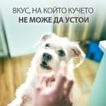 Hill's dog Hypoallergenic Treats - хрупкави бисквитки за кучета с хранителни алергии, хипоалергенно лакомство