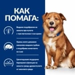 Hill's Prescription Diet Canine Derm Complete - лечебна суха храна за кучета с хранителни алергии и алергии от околната среда, с ориз и яйца, 12 кг