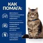 Hill's Prescription Diet Feline Gastrointestinal Biome – лечебна храна за котки при колит, панкреатит и мегаколон