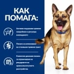 Hill's Prescription Diet Canine Gastrointestinal Biome - лечебна суха храна за кучета с храносмилателни разстройства, запек, колит, с пилешко