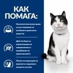 Hill's Prescription Diet Feline i/d AB+ Salmon - лечебна мокра храна за котки с храносмилателни разстройства и за възстановяване, пауч със сьомга, 16х85 г