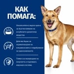 Hill's Prescription Diet Canine i/d консерва AB+ - консервирана храна за кучета, при повръщане, диария или след операция