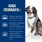 Hill's Prescription Diet Canine i/d Sensitive AB+ - лечебна суха храна за кучета с храносмилателни разстройства и хранителна непоносимост, с яйца и ориз