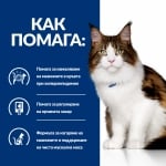 Hill's Prescription Diet Feline w/d - лечебна консервирана храна за котки, при колит, запек, мегаколон и за поддържане на телесно тегло и регулиранена липидния метаболизъм при хиперлипидемия