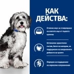 Hill's Prescription Diet Canine ON-CARE - лечебна суха храна за кучета с онкологични проблеми, при кахексия и аноресия