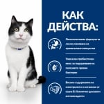 Hill's Prescription Diet Stew Feline i/d AB+- лечебна консервирана храна за котки, за храносмилателни разстройства и възстановяване