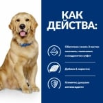 Hill's Prescription Diet Canine j/d - лечебна суха храна за кучета със ставни проблеми, с пилешко