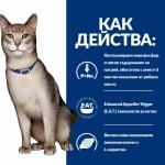 Hill's Prescription Diet Feline k/d - лечебна храна за котки при остра и хронична бъбречна недостатъчност