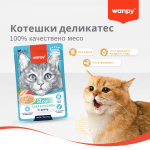 Wanpy Stew in gravy - пауч за котки, ароматно стю с месо в сос, различни вкусове, 10х70 г