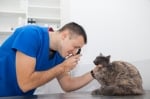 Офталмология за кучета и котки - оперативно лечение на катаракта