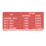 Versele-Laga NUTRIBIRD A19 for birds - храна за ръчно хранене на големи папагали