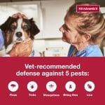 Bayer Advantix - противопаразитни пипети за кучета, цена за 1 пипета и кутия