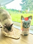 Wanpy силиконова подложка за бавно хранене, за кучета и котки