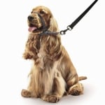 Beaphar Gentle Leader повод срещу дърпане за куче, черен, дребни, средни или едри породи
