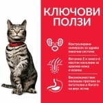 Hill's Science Plan Special Care Feline Adult Urinary Health - суха храна за котки над 1 г., за профилактика и поддържане на уринарния тракт, с пилешко