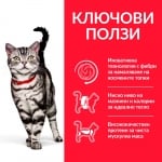 Hill's Science Plan Special Care Feline Hairball&Indoor Adult - суха храна за котки над 1 г., за намаляване на космените топки, с пилешко