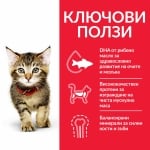 Hill's Science Plan Feline Kitten Chicken - суха храна за котенца до 1 г., за бременни/кърмещи котки, с пилешко