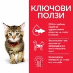 Hill's Science Plan Feline Kitten Chicken - суха храна за котенца до 1 г., за бременни/кърмещи котки, с риба тон