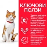 Hill's Science Plan Feline Young Adult Sterilised SALMON - паучове за кастрирани котки, малки късчета в сос Грейви със сьомга, 12 х 85 г