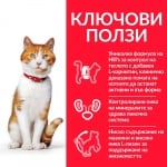 Hill's Science Plan Feline Young Adult Sterilised CHICKEN - паучове за кастрирани котки, малки късчета в сос Грейви с пилешко