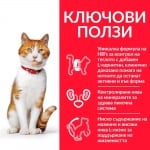 Hill's Science Plan Feline Young Adult Sterilised TURKEY - паучове за кастрирани котки, малки късчета в сос Грейви с пуешко, 12 х 85 г