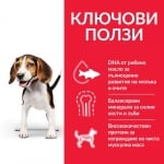 Hill's Science Plan Medium Puppy - суха храна за кученца до 1 г., с пилешко, средни породи