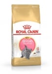 Royal Canin  British Shorthair Kitten- храна за британски късокосмести котенца до 12 месеца