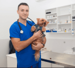 Ветеринарна клиника д-р Антонов – специализирана помощ за домашни любимци