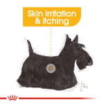 Royal Canin CCN Mini Derma - храна за кучетаот мини породи над 10 месеца с чувствителна кожа