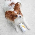 Vet ExpertImmune System - хранителна добавка за кучета и котки, подпомага и стимулира имунната система, 30 капсули