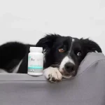 Vet Expert KalmVet Twist off - хранителна добавка за кучета и котки, подходяща в ситуации на стрес, тревожност, агресивно поведение или други поведенчески разстройства